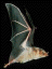 Bat06